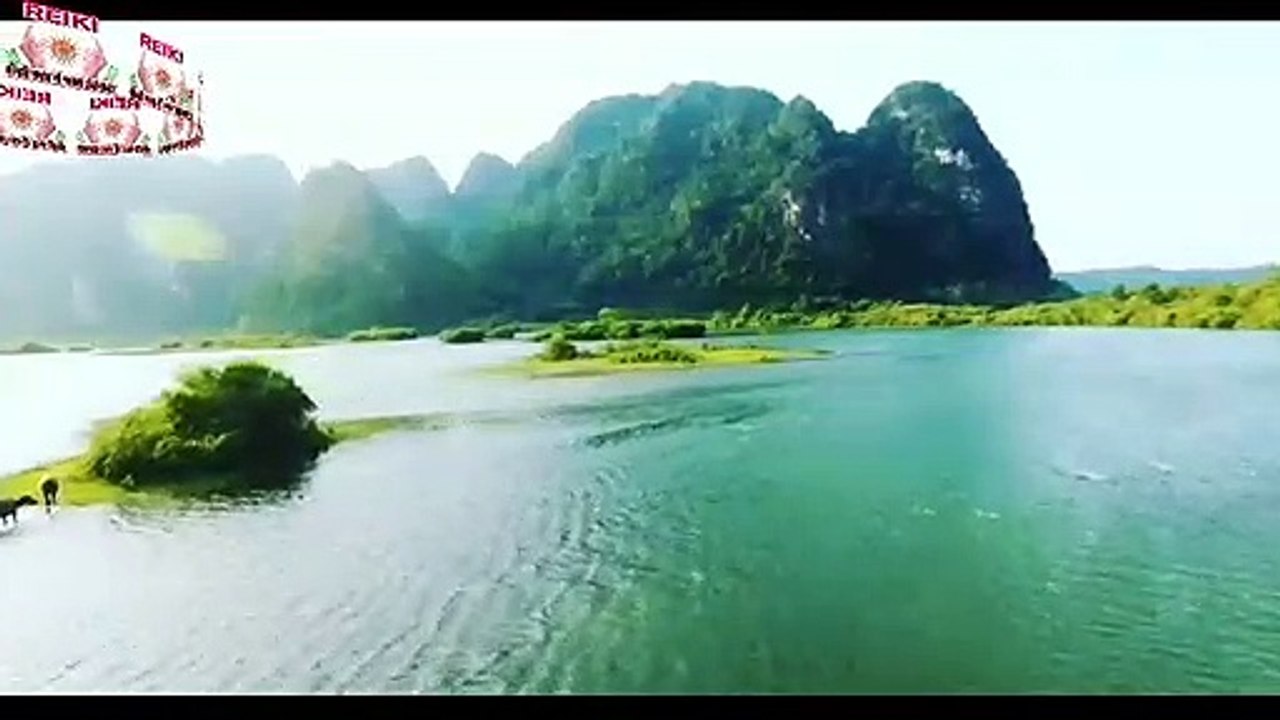 NATURE 6