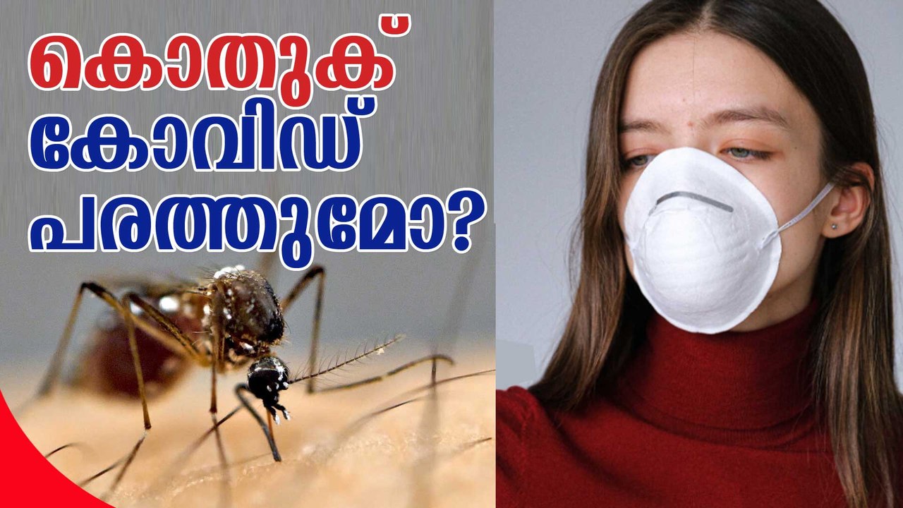 കൊതുകിലൂടെ കോവിഡ് പകരുമോ?