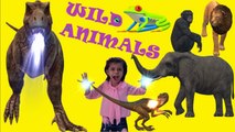 Wild Animals | Wild Animals in 3d Picture Name Sound For Kids | जंगली जानवरों का नाम | Animals Name