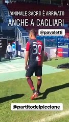 Pavoletti sostiene 'Il Partito del Piccione': l'esultanza virale