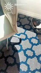 Petagna e la fidanzata a Las Vegas