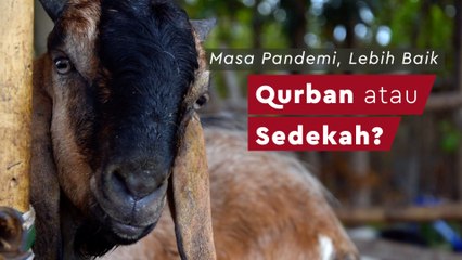 Masa Pandemi, Lebih Baik Qurban atau Sedekah?