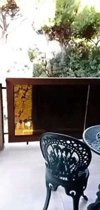 Diletta Leotta sexy in piscina