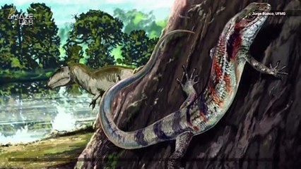 Oldest South American Fossil Lizard Jaw Found in Brazil