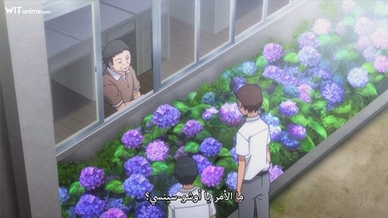 [Witanime.com] ANS EP 41 HD