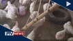 DA: Isang egg farm sa Pampanga, apektado ng bird flu