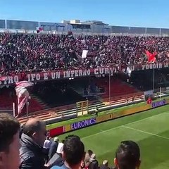 Foggia-Empoli, delirio all'ingresso in campo delle squadre