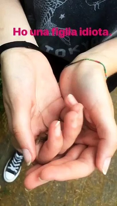 La lucertolina vicina di casa di Cristiano Ronaldo e della Littizzetto: l'ironia della figlia della comica