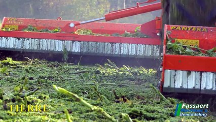 Tierre- Pantera + TCL Pro - heavy duty flailmower with off-set mower