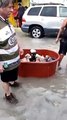 En la inundación en México lo pierden todo, pero arriesgan sus vidas para salvar a sus cachorros