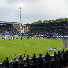 Spal-Juve, la festa al termine del match