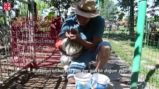 Şehirden Kaçanlar...Her beyaz yakalının hayali