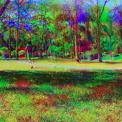 ZÃ© Roberto si allena e si tiene in forma a 45 anni