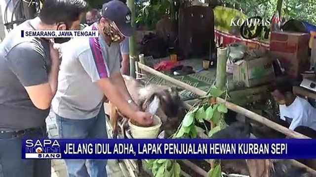 Jelang Idul Adha, Lapak Penjualan Hewan Kurban Sepi