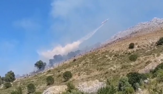 Santa Cristina Gela (PA) - Incendio di vegetazione, in azione Canadair (29.07.20)