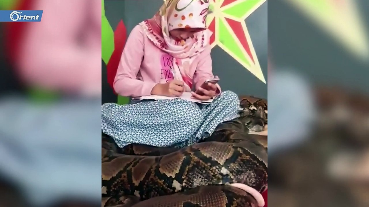 مراهقة أندونيسية تعيش مع 6 ثعابين ضخمة