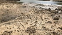 Nghệ An: Nắng nóng kéo dài, hơn 600 hồ chứa cạn khô