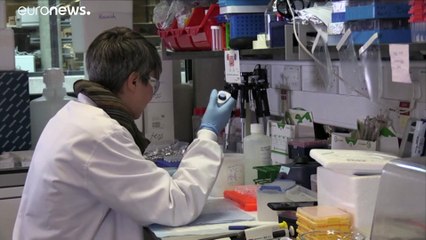 Vacina de Oxford é a mais avançada para vencer Covid-19