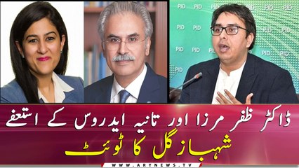Shahbaz Gill tweet after Tania Aidrus and Dr Zafar Mirza's resignation