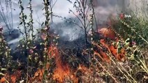 Bursa'da anız yangınları tehlike saçıyor