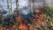 Bursa'da anız yangınları tehlike saçıyor