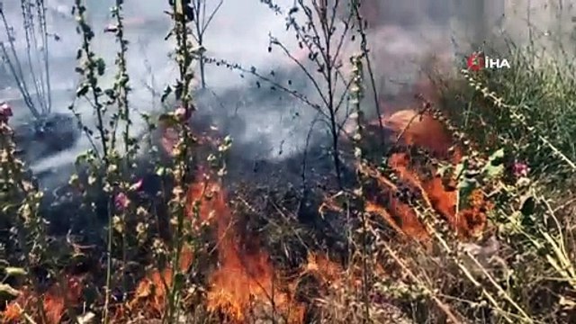 Bursa'da anız yangınları tehlike saçıyor