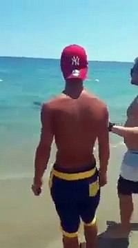 Calabria: le immagini dello squalo a pochi metri dalla riva