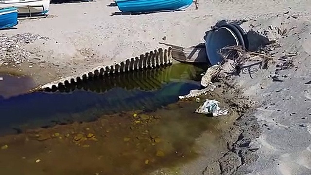 Reggio Calabria, sulla spiaggia di Catona uno scarico fognario a cielo aperto