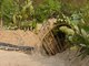 Snake Trap - Build Deep Hole Underground Snake Trap Using Red Basket | Animal Trap