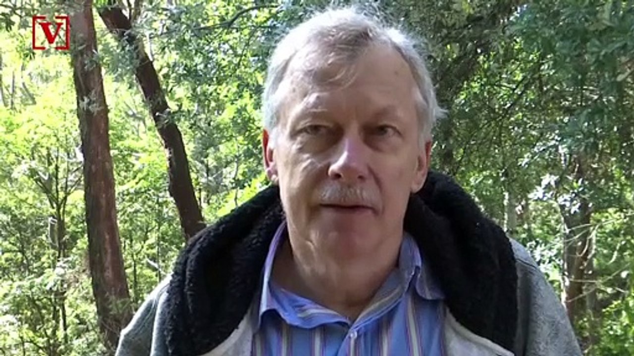 3 Billion Animals Killed in Australian Bushfires, Triple the Previous Estimate