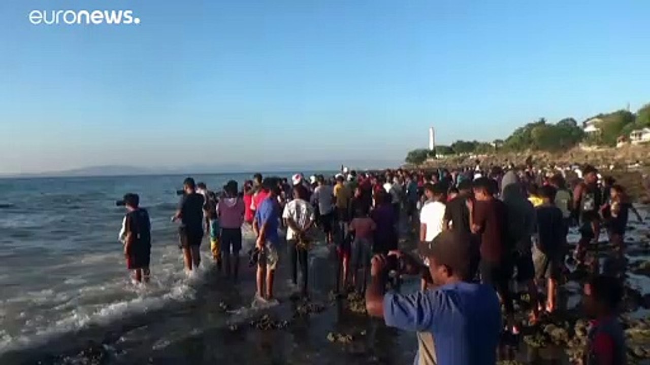 Giant dead whale washes up on Indonesian coast