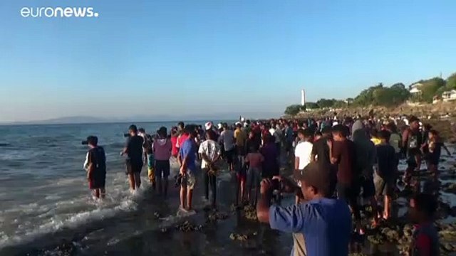 Giant dead whale washes up on Indonesian coast