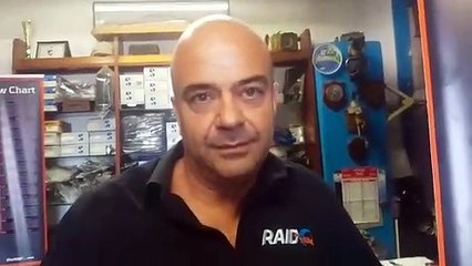 Squali nello Stretto di Messina, l'esperto: "non scoraggiano il turismo anzi sono un'attrattiva, la BBC viene qui per filmarli"