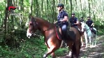 Controllo del territorio di Serra San Bruno da parte dei Carabinieri a cavallo