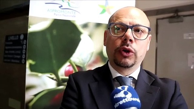 Reggio Calabria: intervista al presidente del Parco d'Aspromonte Bombino su Incendi boschivi e gestione forestale sostenibile