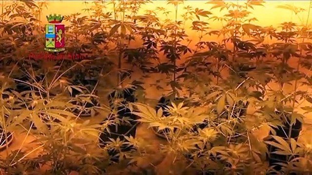 Reggio Calabria, 32enne arrestato per droga, armi e furti :le immagini