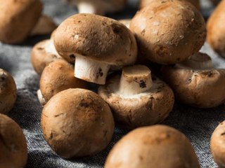 Is It True That You Should Never Wash Mushrooms?