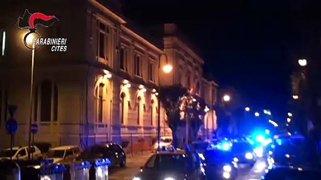 Reggio Calabria: Carabinieri smantellano organizzazione dedita al traffico di specie animali protette