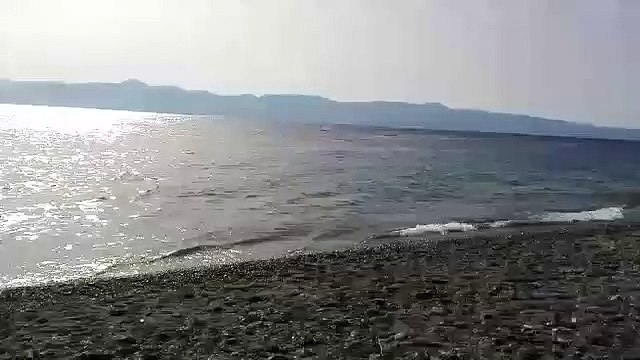 Reggio Calabria: lo spettacolo dei delfini questo pomeriggio a Bocale