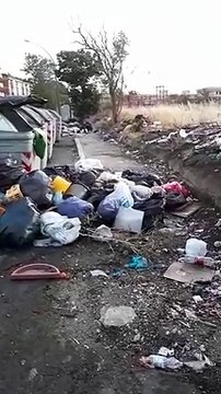 Reggio Calabria: le immagini dei topi che vagano indisturbati a Ciccarello