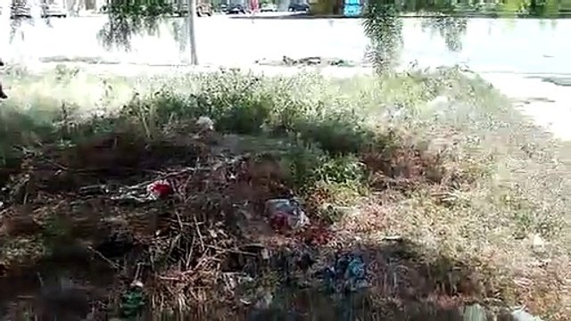 Reggio Calabria: degrado ed incuria in Piazza Milano, le immagini