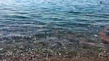 Bova Marina: le immagini del mare inquinato questa mattina