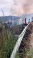 Reggio Calabria: le immagini dell'incendio di Pavigliana in diretta