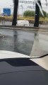 Forte nubifragio a Reggio Calabria, strade completamente allagate