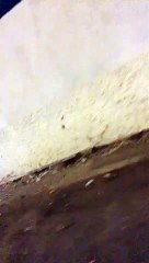 Reggio Calabria: la zona di Ciccarello invasa dai topi