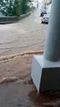 Maltempo, nubifragio a Tropea: inondazioni nel centro cittadino