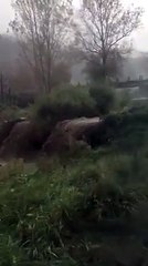 Descargar video: Maltempo: Reggio Calabria in ginocchio, nubifragi in cittÃ , torrenti in piena