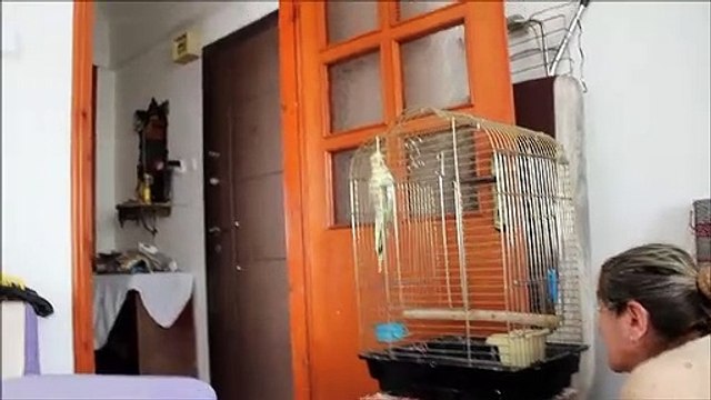 Ufuk Jako Papagan 2 Bölüm Sır Yapım Sunar