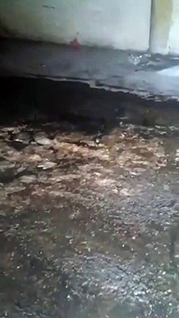 ⁣Messina, le immagini da Complesso Zancle: reflui fognari davanti ai garage