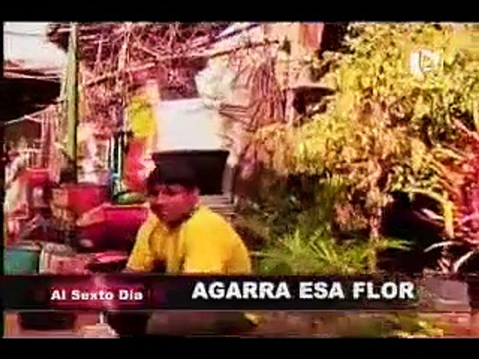 Agarra esa flor